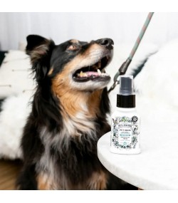 Pet Odor Eliminator on the go, Pet-Pourri